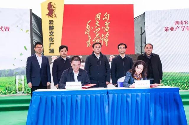 湖南農(nóng)業(yè)大學(xué)和望城區(qū)政府簽訂茶葉產(chǎn)學(xué)研基地項(xiàng)目合作框架協(xié)議.jpg
