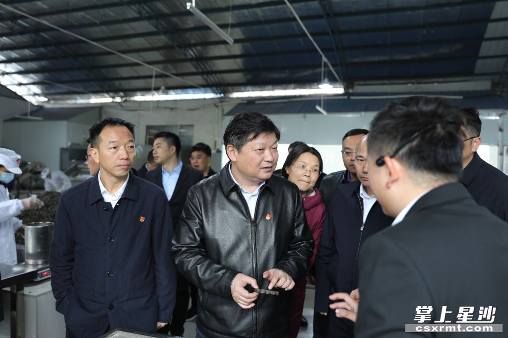 付旭明在湘豐桑植白茶洪家關工廠調研產(chǎn)業(yè)發(fā)展情況。.jpg