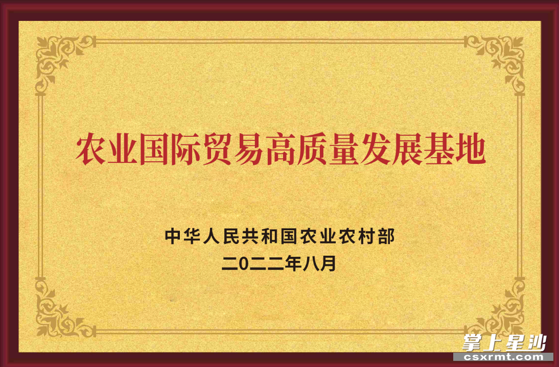 長沙縣湘豐茶業(yè)集團為湖南省茶葉行業(yè)唯一獲“國家級農業(yè)國際貿易高質量發(fā)展基地”認定的生產、加工、貿易復合型民營企業(yè)。均為集團供圖